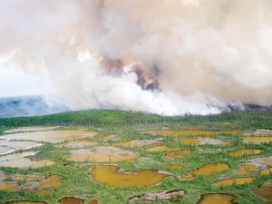 The fire on top of Salt Mountain approximately 30 km west of Fort Smith grows to 1,100 hectares on Wednesday evening due to a cold cell and gusting winds that sent embers across the highway out of Wood Buffalo National Park.