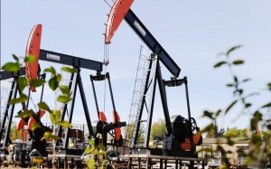 Shell’s pump jacks draw oil from 600 metres underground as part of its steam-assisted in situ oil recovery project near Peace River. An expansion project for the site was recently approved.